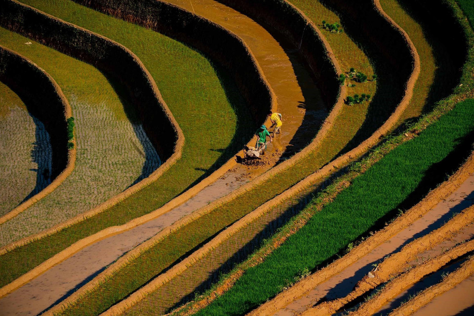 Les agriculteurs conduisent l’eau des hauteurs vers les champs pour préparer une nouvelle saison rizicole. Photo: VNA