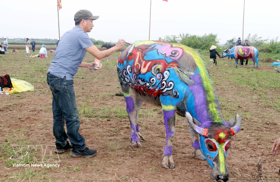 Le concours de peinture décorative de buffles s’impose comme l’un des temps forts de la Fête Tich Dien Doi Son, insufflant une touche artistique originale et éclatante à l’atmosphère festive. Photo: VNA