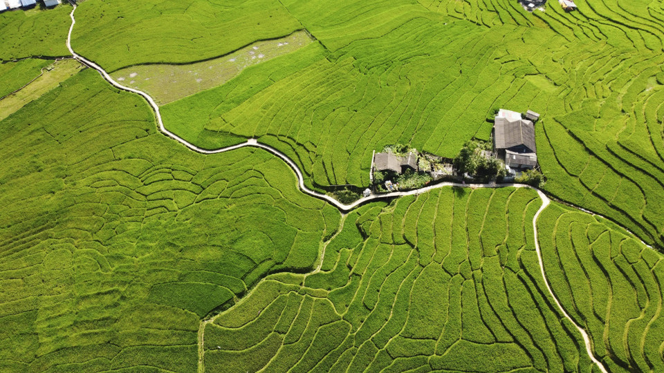 Tel un tableau naturel, les rizières en terrasses épousent les courbes du flanc de la montagne. Photo : VNA
