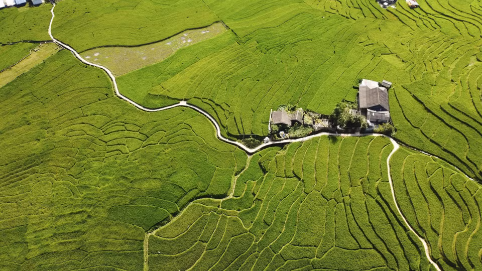 Tel un tableau naturel, les rizières en terrasses épousent les courbes du flanc de la montagne. Photo : VNA