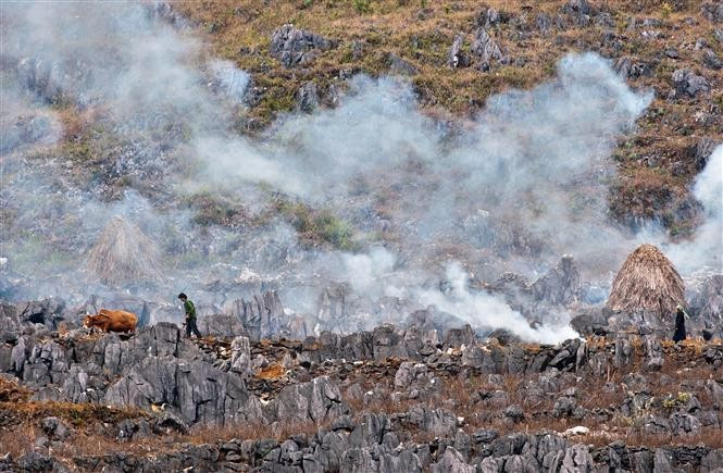 Situé à une altitude comprise entre 1.000 et 1.600 m, ce plateau calcaire est le plus vaste du Vietnam, fruit d'une longue évolution géologique avec la présence de sédiments du Cambrien-Ordovicien (600-400 millions d'années), du Dévonien (390-360 millions d'années), du Carbo-Permien et du Trias (360-310 millions d'années). Photo: VNA