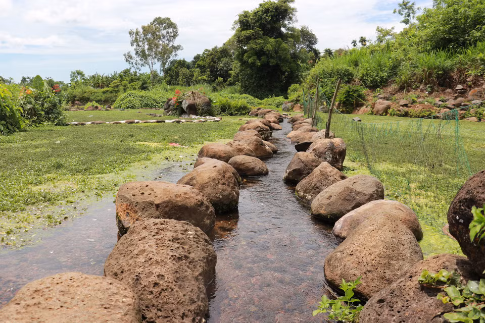 Alimentés par des sources intarissables, ils avaient pour fonction de fournir de l’eau potable aux habitants, de servir leurs activités quotidiennes (se laver, faire la lessive...), d’abreuver le bétail et d’irriguer les champs. Photo: VNA