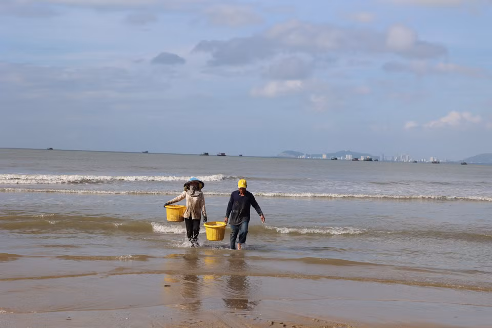 Une fois retirés des filets, les poissons sont immédiatement rincés à l’eau de mer pour en garantir la fraîcheur, puis vendus sans délai aux commerçants directement sur place. Photo: VNA