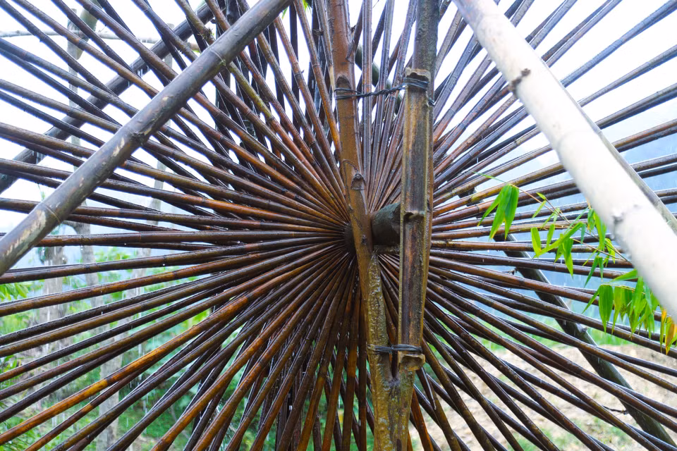 Chaque noria forme un ensemble structurel harmonieux composé de multiples éléments, dont "l’âme" réside dans les dizaines, voire les centaines de tubes de bambou de longueur identique insérés dans l’axe central en bois. Cette architecture ingénieuse assure la solidité de la roue, dont la circonférence peut atteindre de 7 à 15 mètres. Photo : VNA