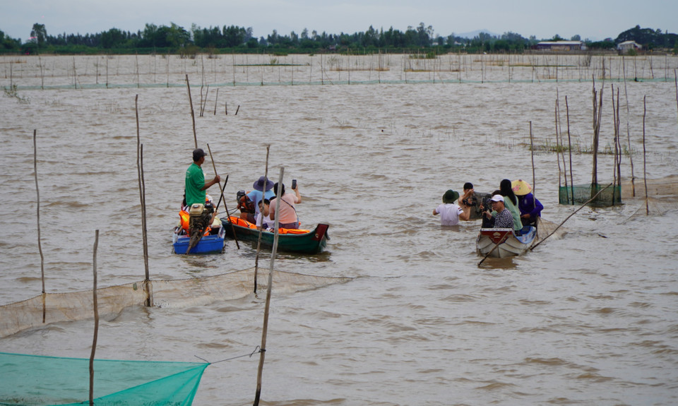 Ils peuvent se déplacer par les petits bateaux. Photo: VNA
