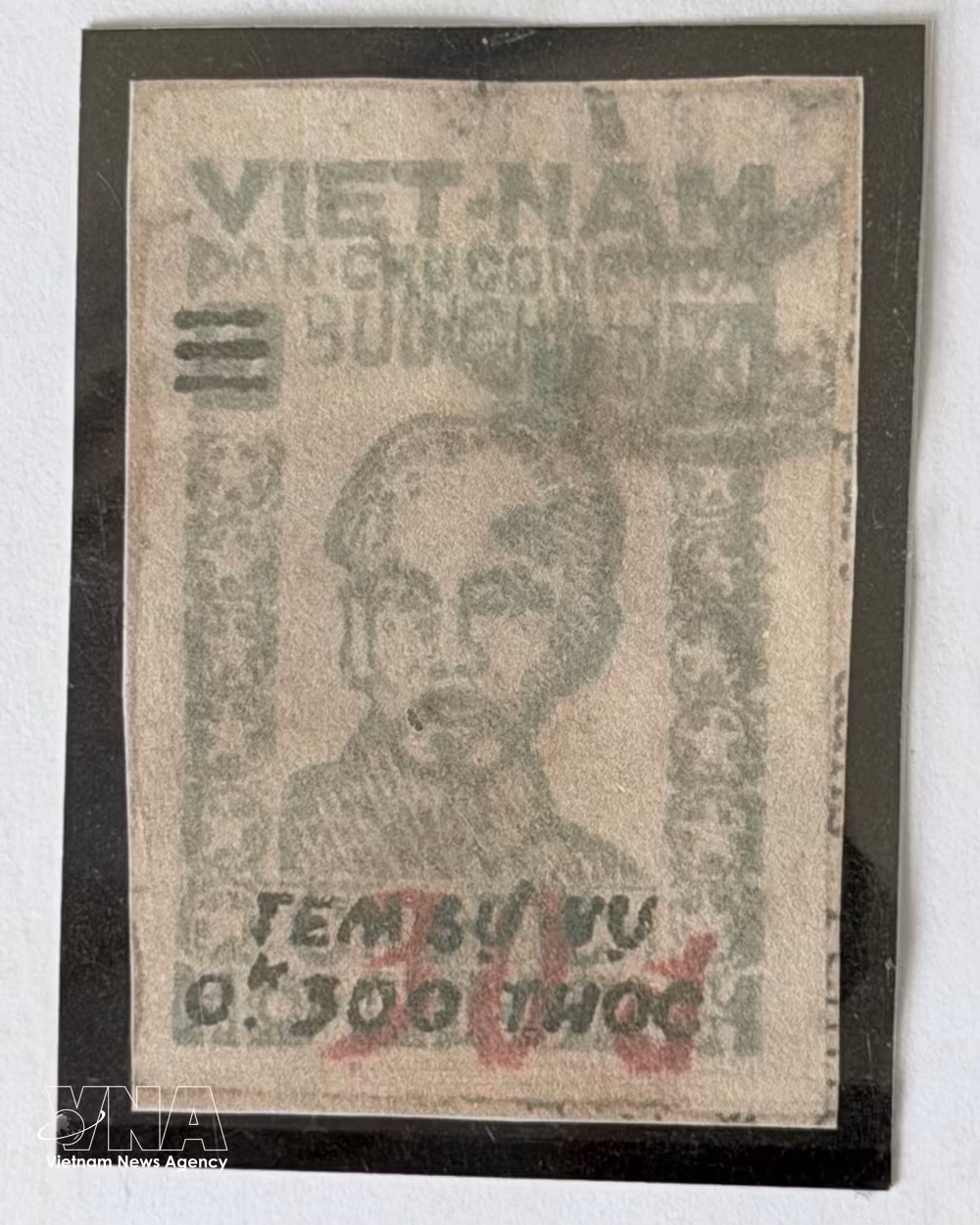 vnanet-tem-1.jpg