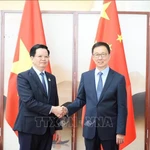 Le vice-Premier ministre vietnamien Mai Van Chinh (gauche) et Han Zheng, vice-président chinois. Photo: VNA