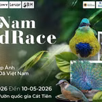 Photo : comité d'organisation