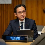 L'ambassadeur Do Hung Viet, chef de la Mission permanente du Vietnam auprès de l’ONU. Photo : VNA