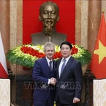 Le président Luong Cuong (droite) reçoit le président du Sénat tchèque Milos Vystrcil. Photo: VNA