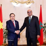 Le président de l'Assemblée nationale, Tran Thanh Man (gauche) a rencontré le président du Sénat marocain, Mohamed Ould Errachid, le matin du 25 juillet 2025. Photo : VNA