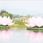 Deux des sept fleurs de lotus destinées aux célébrations du Vesak 2570 du calendrier bouddhique ont été mises à l’eau sur la rivière des Parfums, à Huê. Photo : VNA