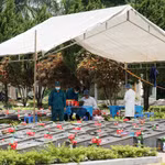 L'équipe chargée des fouilles et des prélèvements sur les restes de soldats morts pour la Patrie au cimetière des martyrs de Duc Co (commune de Duc Co, province de Gia Lai). Photo: VNA