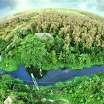 La télédétection au service du suivi et de la vérification des crédits carbone forestiers au Vietnam. Photo : Département de la télédétection nationale 