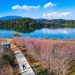 Le tourisme vietnamien transforme les opportunités en atouts