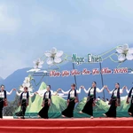 Des spectacles culturels et artistiques animés sont présentés lors de la fête des fleurs de Son tra dans la commune de Ngoc Chien. (Photo : VNA)