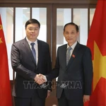 Le ministre vietnamien des Affaires étrangères (AE) Lê Hoài Trung (à droite), également secrétaire du Comité central du Parti communiste du Vietnam (PCV) et Wei Tao, président de la Région autonome Zhuang du Guangxi (Chine). Photo : VNA