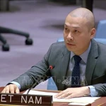 Le ministre-conseiller Nguyen Hoang Nguyen, chef adjoint de la Mission permanente du Vietnam auprès de l’ONU. Photo: VNA