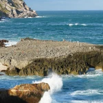 L’ancien récif corallien de Hang Rai est reconnu par les scientifiques pour sa grande valeur géologique ainsi que pour son intérêt majeur dans l’étude de l’histoire naturelle de la région. Photo : VNA