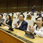 Les députés de l'Assemblée nationale votent des lois et résolutions. Photo : Doan Tan - VNA
