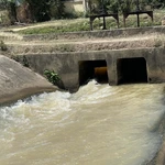 Des projets d’ouvrages hydrauliques financés par l’APD et des prêts concessionnels améliorent l’efficacité de la production agricole dans le sud de la province de Khanh Hoa. Photo : VNA