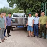 Remise d'un animal sauvage aux autorités locales de la province de Quang Tri. Photo: VNA