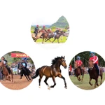 Quelques festivals et courses hippiques traditionnels au Vietnam