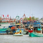 Les autorités suppervisent des bateaux de pêche afin de sensibiliser la communauté des pêcheurs à la nécessité de retirer le carton jaune. Photo : VNA 