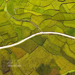 Des paysages de rizières à couper le souffle dans la province de Son La