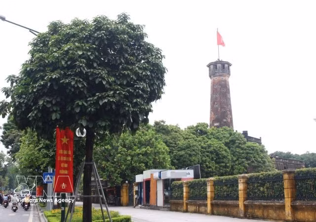 Une banderole célébrant le 81e anniversaire de la Fête nationale est installée près de la Tour du drapeau de Hanoi, symbole de la fierté nationale. Depuis 72 ans, le drapeau national y flotte, rappelant à tous l’histoire glorieuse d’un peuple héroïque.