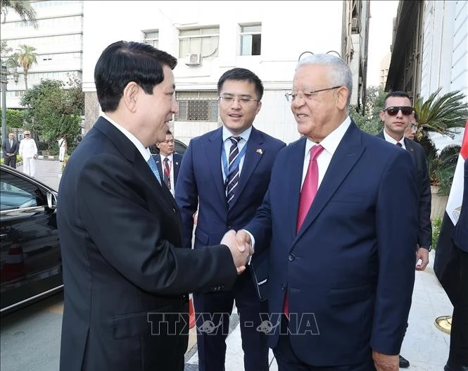 Le président Luong Cuong (gauche) et le président de la Chambre des représentants égyptienne, Hanafy El Gebaly. Photo: VNA