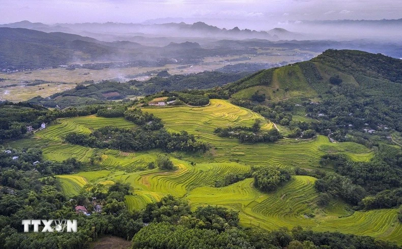 Les rizières en terrasses de Miên Doi sont connues comme l’un des plus beaux paysages de la province de Phu Tho et plus largement du Nord-Ouest du Vietnam. Photo: VNA