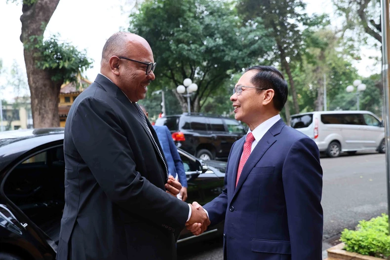 Le vice-Premier ministre et ministre des Affaires étrangères, Bui Thanh Son, et Mahmoud Thabit Kombo, ministre des Affaires étrangères et de la Coopération est-africaine de Tanzanie. Photo: VNA