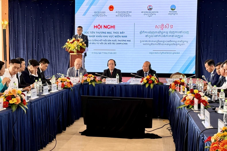 Panorama de la conférence. Photo: VNA