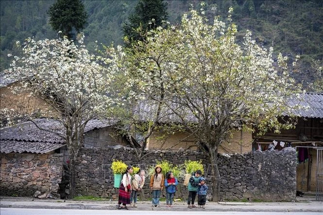 La beauté des gens et les magnifiques paysages sont des attractions pour les touristes à Ha Giang. Photo : VNA