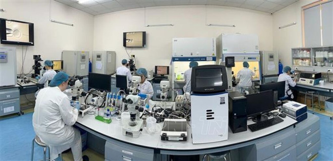 Laboratoire de biotechnologie, Université internationale, Université nationale du Vietnam, Ho Chi Minh-Ville. Photo : VNA 101336-vna-potal-50-nam-thong-nhat-dat-nuoc-tp-ho-chi-minh-trung-tam-dao-tao-nhan-luc-hang-dau-ca-nuoc-7986676.jpg