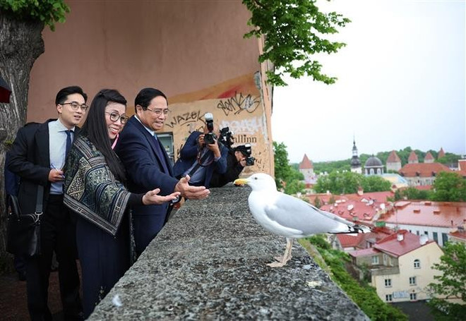 Le Premier ministre Pham Minh Chinh et son épouse visitent la Vieille ville de Tallinn. Photo: VNA vna-potal-thu-tuong-va-phu-nhan-tham-quan-khu-pho-co-tallinn-cua-estonia-8074906.jpg
