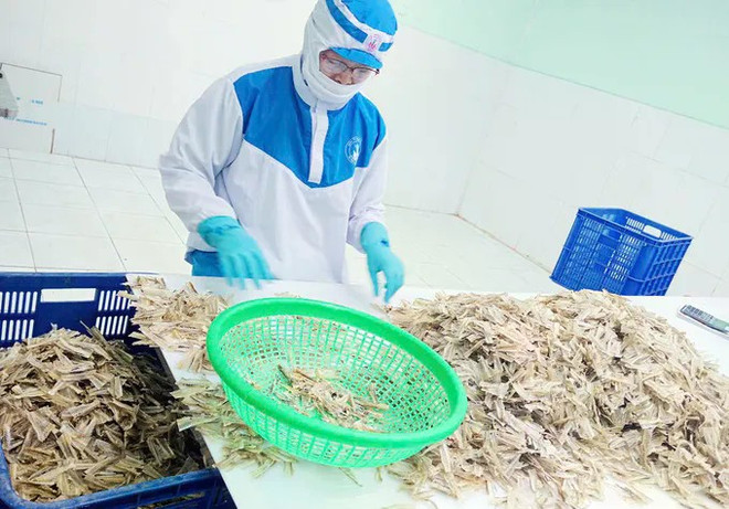Produits d’arêtes de poisson exportés vers le Japon. Photo : sggp.org.vn thuy-san.jpg