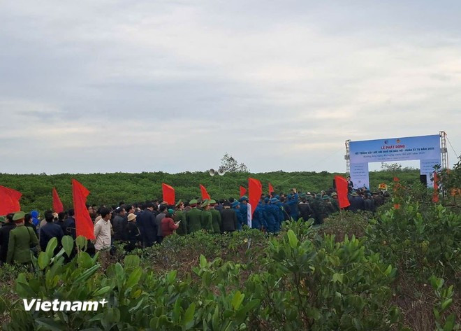 tet-trong-cay-nam-2025.jpg