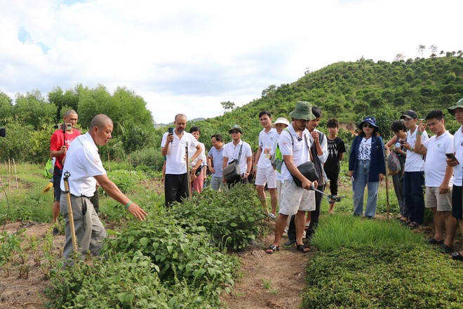Faire découvrir des produits agricoles biologiques à des touristes. 165309-gioi-thieu-san-pham-nong-nghiep-huu-co-voi-du-khach-anh-dang-tuan-ttxvn.jpg