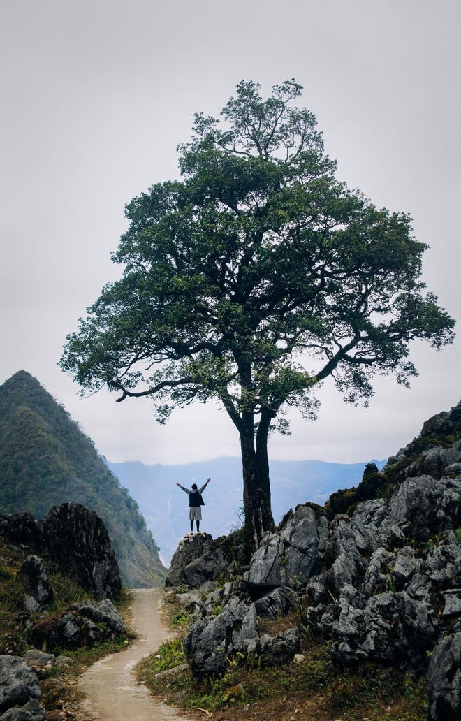 Les routes de la "Ha Giang Loop" offrent aux visiteurs une expérience riche en émotions. Photo d’illustration : Vietnam+ 490821190-2467702353570892-4507129987366058247-n.jpg