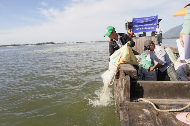 Relâcher des alevins de différentes espèces afin de reconstituer les ressources halieutiques du lac Dâu Tiêng. Photo: VNA vna-potal-tha-gan-238000-con-ca-giong-bo-sung-nguon-thuy-san-cho-ho-dau-tieng-tay-ninh-7693731.jpg