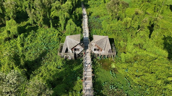 Zone touristique de la forêt de cajeput de Tra Su, une destination préférée de nombre de touristes vietnamiens comme étrangers. Photo: VNA khu-du-lich-rung-tram-tra-su-thi-xa-tinh-bien-tinh-an-giang-diem-den-yeu-thich-cua-khach-du-lich-trong-va-ngoai-nuoc-anh-ttxvn.jpg