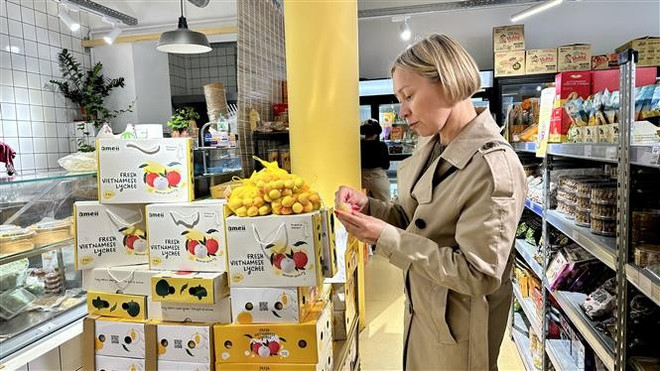 Une cliente française déguste les premiers litchis de la récolte vietnamienne 2025. Photo : VNA thumbstand-1.jpg