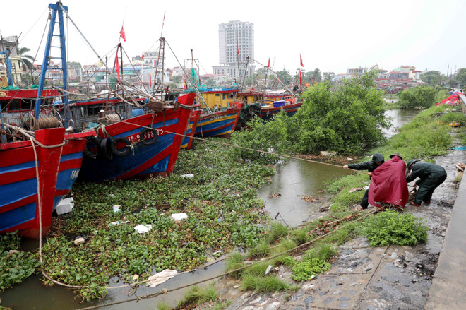 Les forces armées et les autorités locales aident les gens à ancrer leurs bateaux dans la zone de mouillage du port de pêche de Tan Son, commune de Thai Thuy, province de Hung Yen. Photo: VNA vna-potal-pho-thu-tuong-tran-hong-ha-kiem-tra-cong-tac-phong-chong-bao-tai-hung-yen-8162111.jpg