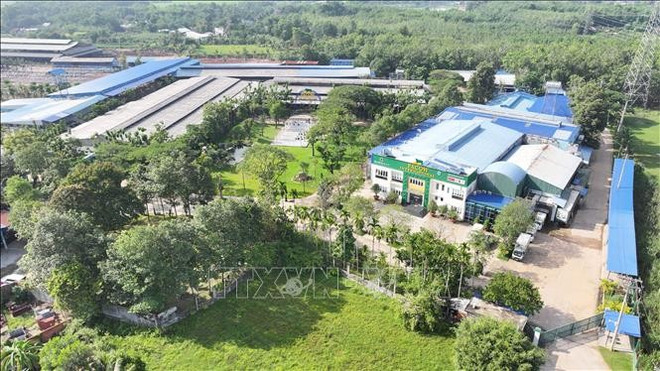 Ferme d’élevage et usine de transformation vastes et en circuit fermé de la SARL PACOW International. Photo : VNA tay-ninh-16625-12.jpg