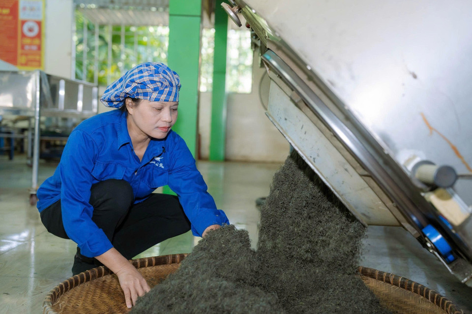 L'artisane Nguyen Thi Hai dans l'atelier de production de la coopérative de thé La Bang. Photo : VNA