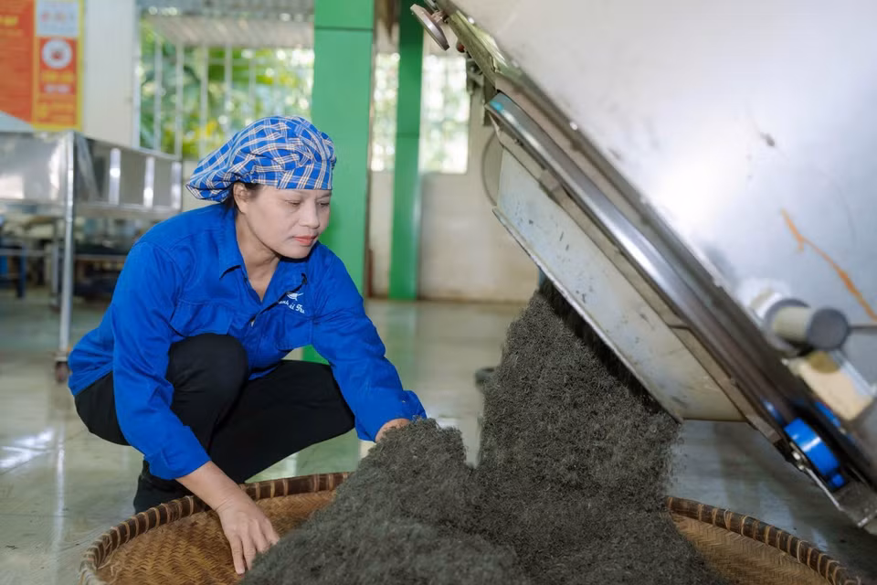 L'artisane Nguyen Thi Hai dans l'atelier de production de la coopérative de thé La Bang. Photo : VNA