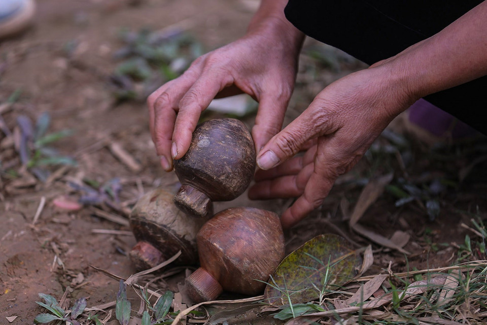 Transmise de génération en génération, la pratique du "đánh cù" anime les fêtes traditionnelles des Muong, où la toupie de bois devient à la fois jeu, symbole culturel et lien vivant entre les membres de la communauté. Photo : VNA