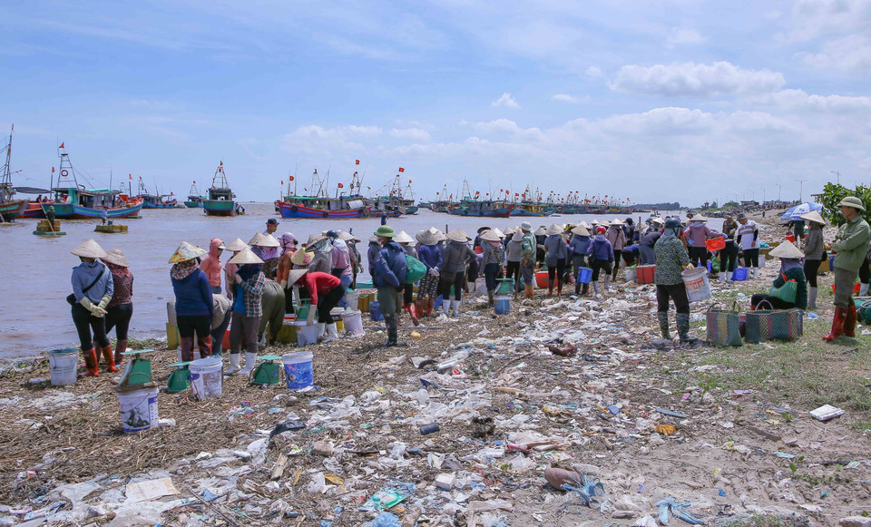 Le marché aux poissons de Giao Hai se tient régulièrement deux fois par jour, juste à côté de la plage, pour faciliter le commerce et le transport des produits aquatiques par les pêcheurs. Photo : VNA